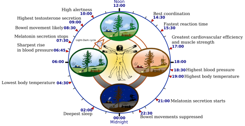 restorative sleep guide