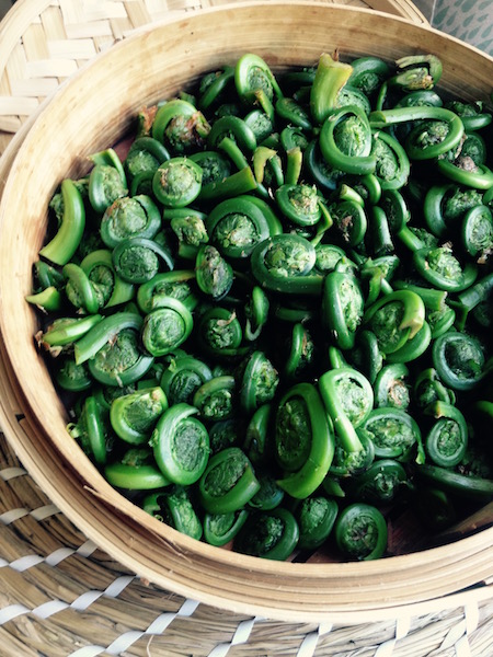 Steamed fiddleheads are a nutritious addition to spring meals.