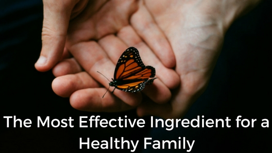 The Most Effective Ingredient for a Healthy Family: blog title