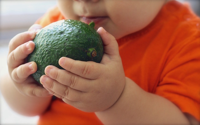 Getting kids to eat healthy isn't at hard as you think. Look at this baby wanting to eat an avocado.