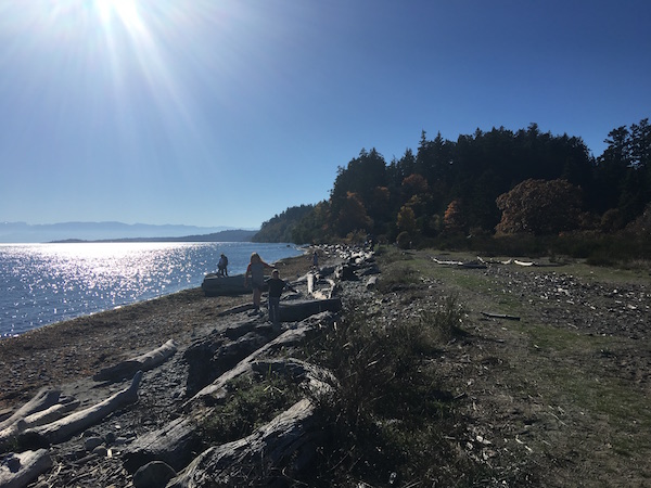 Engage Your Environment: Kids on logs on a beach