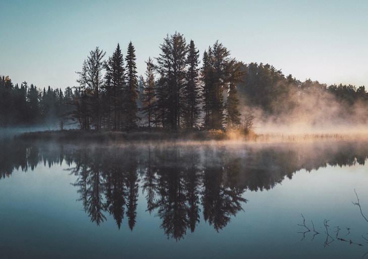 Engage Your Environment: trees by the water in the mist