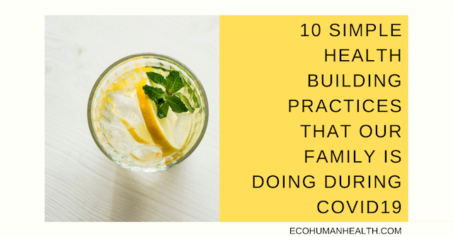 The image is the blog title: 10 Simple Health Building Practices That Our Family is Doing During COVID19